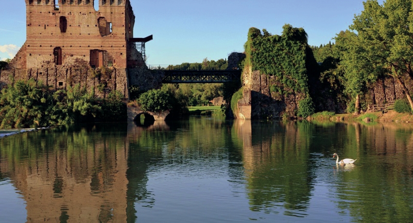 GRUROLO 3 - Mantua-Lotusblüten und Natur